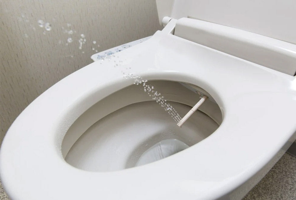 10 raisons convaincantes de passer aux WC japonais