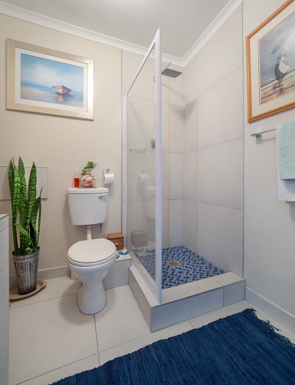 douchette de wc