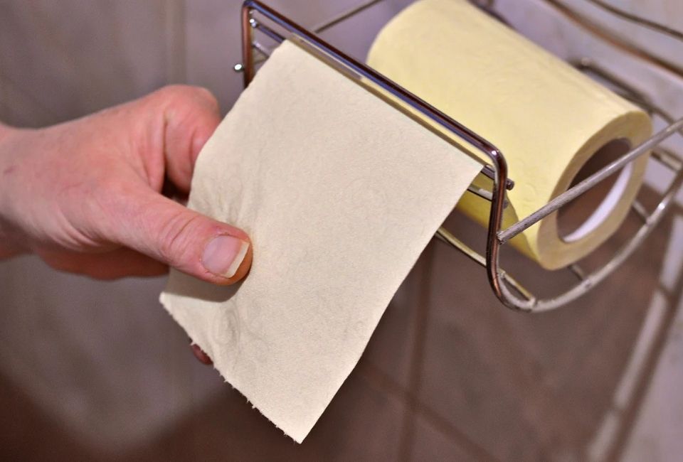 Toilette japonaise sans papier : fonctionnement et avantages