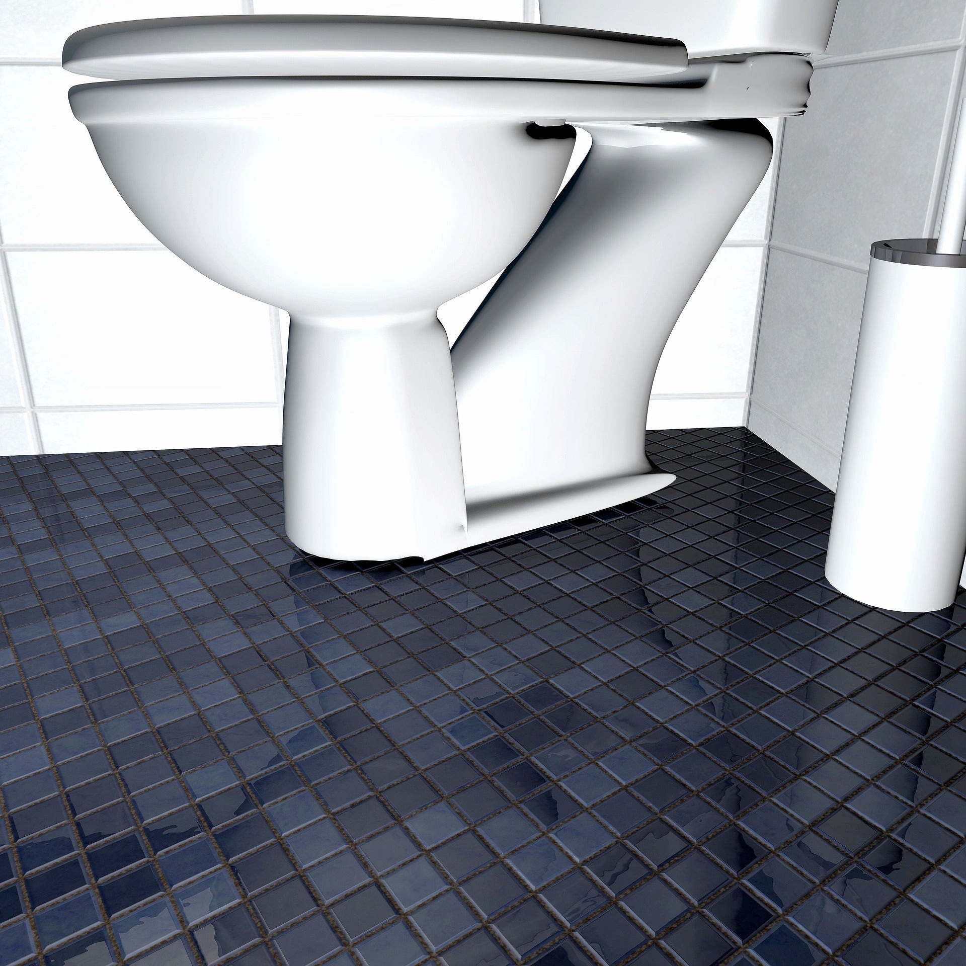 wc lavant