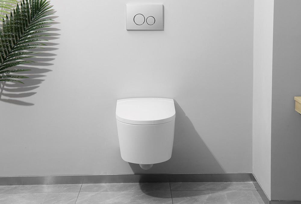 Quel est le prix d'un WC Japonais ? 