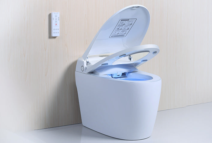 wc au sol à poser