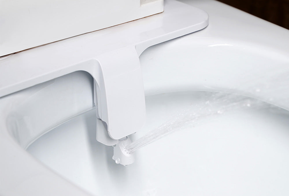 choisir bidet japonais