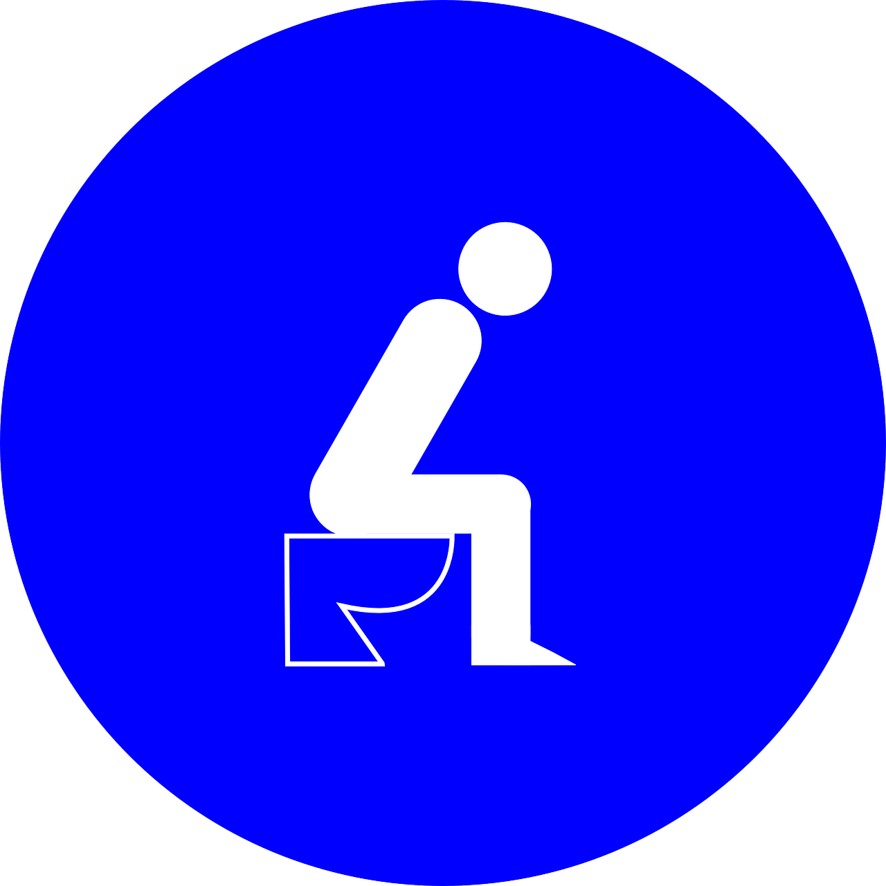 mode d'emploi toilette japonaise
